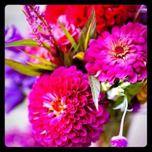 Meet your Posher, Alexandra